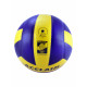 Cosco Acclaim Volleyball