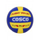 Cosco Flight Volley Ball