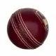 SG Tournament Four Piece Cricket Leather Ball