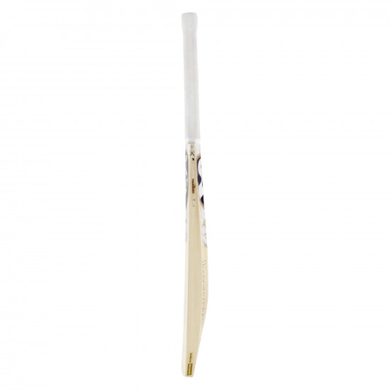 SG Cobra Gold Kashmir Willow Bat