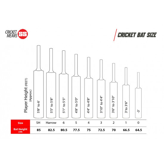 SS Gutsy Kashmir Willow Bat (SH)