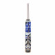 SS Master 100 Kashmir Willow Bat (SH)