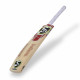 SG Valor Kashmir Willow Bat