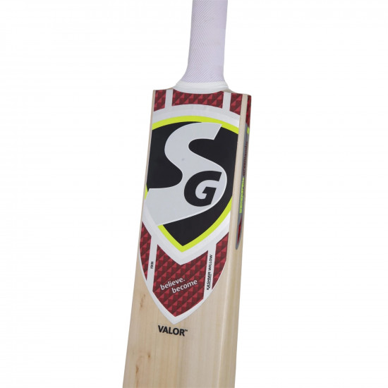 SG Valor Kashmir Willow Bat